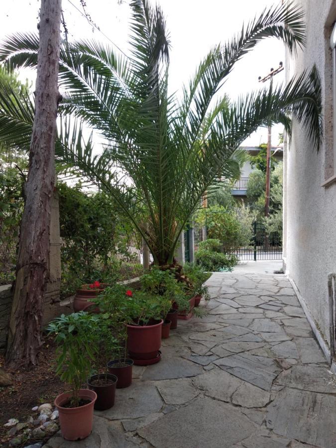 Velikis Apartments Toroni Exterior foto